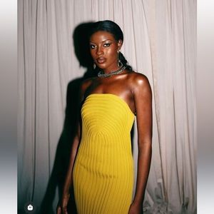 Hanifa Roxi knit tube Maxi dress S - NWT